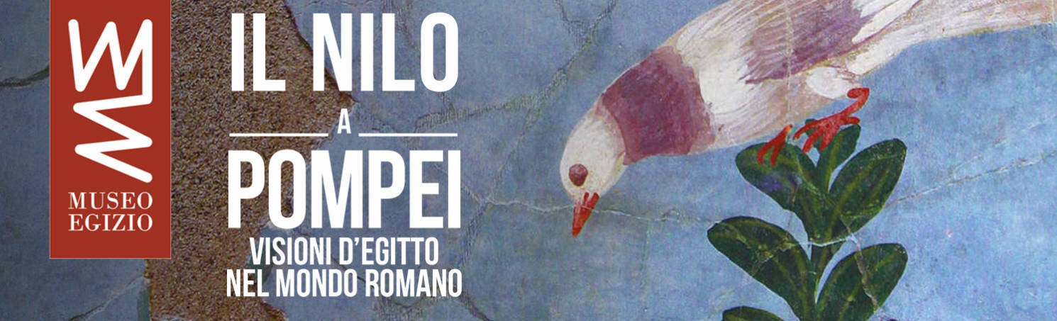 nilo-pompei-bannerino-1